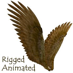 3D Wings model